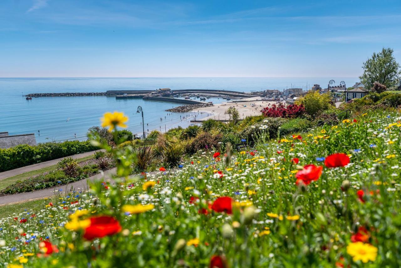 Valley Farm Holiday Cottages 엑스민스터 외부 사진