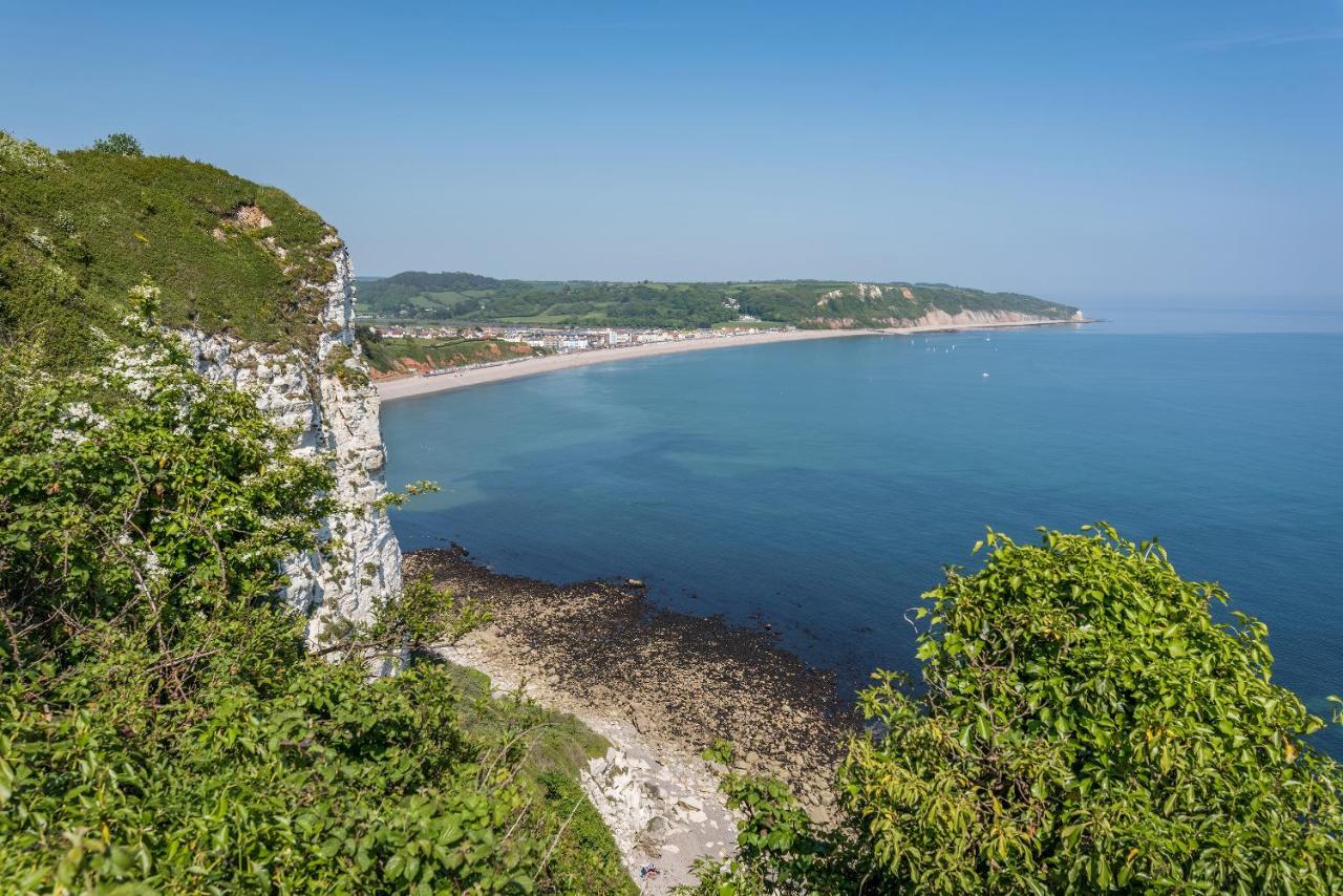 Valley Farm Holiday Cottages 엑스민스터 외부 사진
